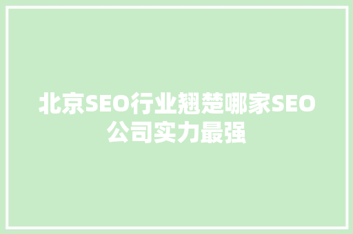 北京SEO行业翘楚哪家SEO公司实力最强