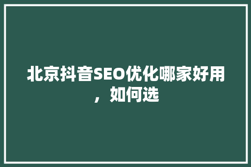 北京抖音SEO优化哪家好用，如何选
