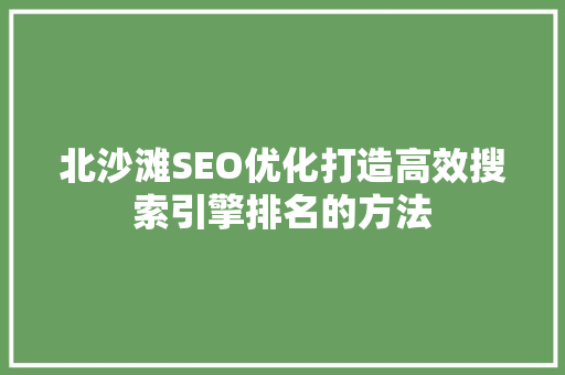 北沙滩SEO优化打造高效搜索引擎排名的方法