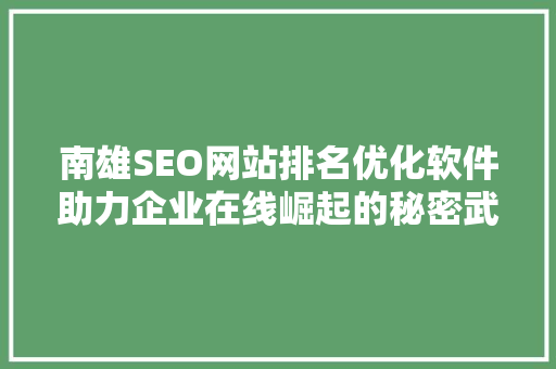 南雄SEO网站排名优化软件助力企业在线崛起的秘密武器