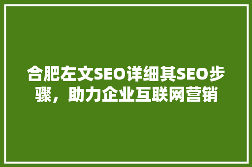 合肥左文SEO详细其SEO步骤，助力企业互联网营销