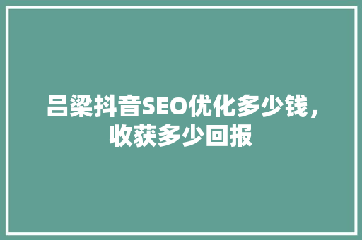 吕梁抖音SEO优化多少钱，收获多少回报