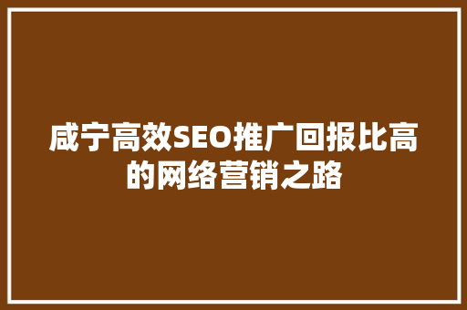 咸宁高效SEO推广回报比高的网络营销之路
