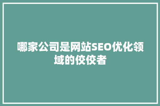 哪家公司是网站SEO优化领域的佼佼者