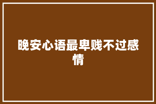 我国高校代码体系下的专业特色与发展步骤