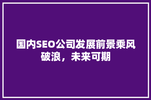 国内SEO公司发展前景乘风破浪，未来可期