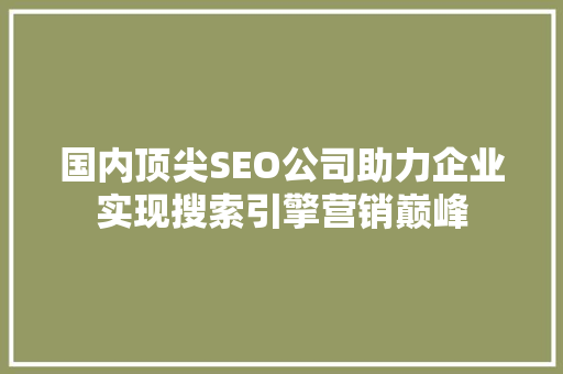 国内顶尖SEO公司助力企业实现搜索引擎营销巅峰