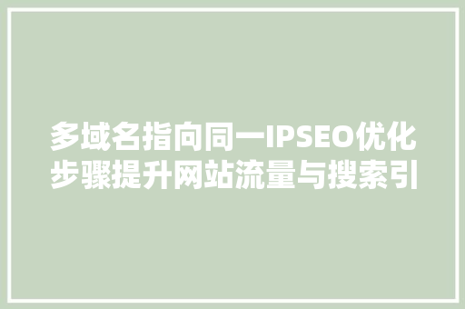 多域名指向同一IPSEO优化步骤提升网站流量与搜索引擎排名  第1张