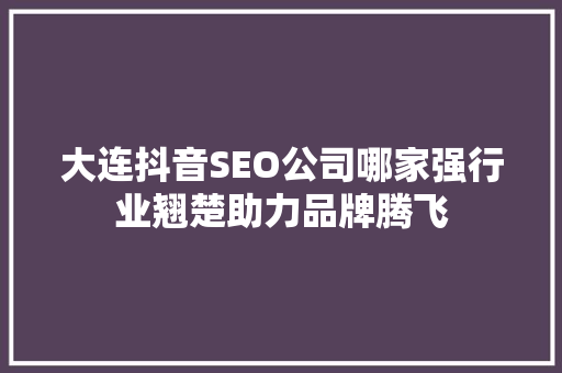 大连抖音SEO公司哪家强行业翘楚助力品牌腾飞