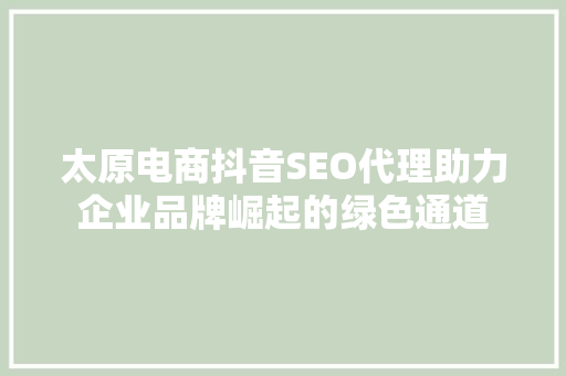 太原电商抖音SEO代理助力企业品牌崛起的绿色通道  第1张