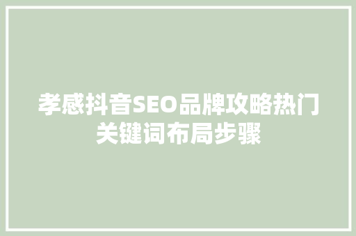孝感抖音SEO品牌攻略热门关键词布局步骤