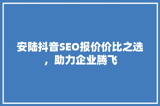 安陆抖音SEO报价价比之选，助力企业腾飞