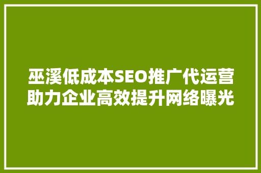 巫溪低成本SEO推广代运营助力企业高效提升网络曝光度