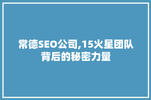 常德SEO公司,15火星团队背后的秘密力量