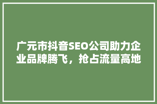 广元市抖音SEO公司助力企业品牌腾飞，抢占流量高地