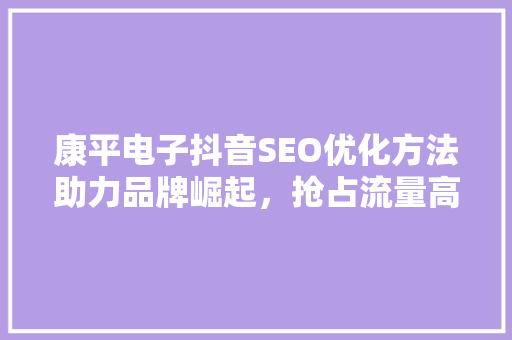 康平电子抖音SEO优化方法助力品牌崛起，抢占流量高地