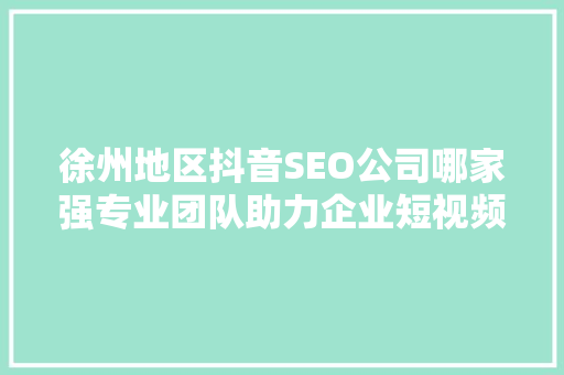 徐州地区抖音SEO公司哪家强专业团队助力企业短视频营销腾飞  第1张
