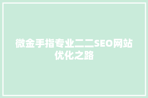 微金手指专业二二SEO网站优化之路