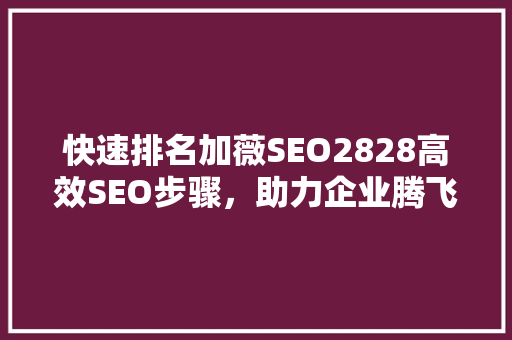 快速排名加薇SEO2828高效SEO步骤，助力企业腾飞