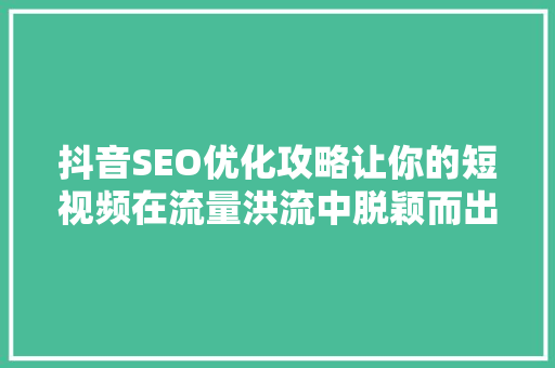 抖音SEO优化攻略让你的短视频在流量洪流中脱颖而出