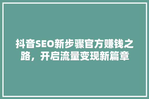 抖音SEO新步骤官方赚钱之路，开启流量变现新篇章