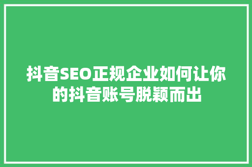 抖音SEO正规企业如何让你的抖音账号脱颖而出
