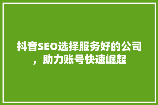 抖音SEO选择服务好的公司，助力账号快速崛起