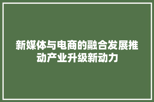 新媒体与电商的融合发展推动产业升级新动力