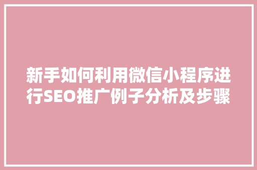新手如何利用微信小程序进行SEO推广例子分析及步骤  第1张