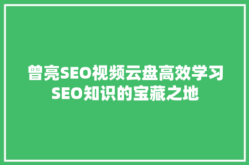 曾亮SEO视频云盘高效学习SEO知识的宝藏之地
