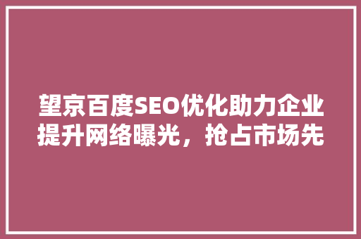 望京百度SEO优化助力企业提升网络曝光，抢占市场先机