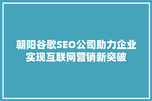 朝阳谷歌SEO公司助力企业实现互联网营销新突破