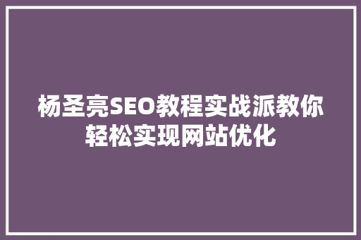 杨圣亮SEO教程实战派教你轻松实现网站优化