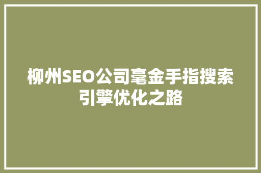 柳州SEO公司毫金手指搜索引擎优化之路