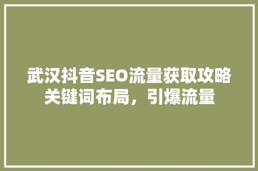 武汉抖音SEO流量获取攻略关键词布局，引爆流量