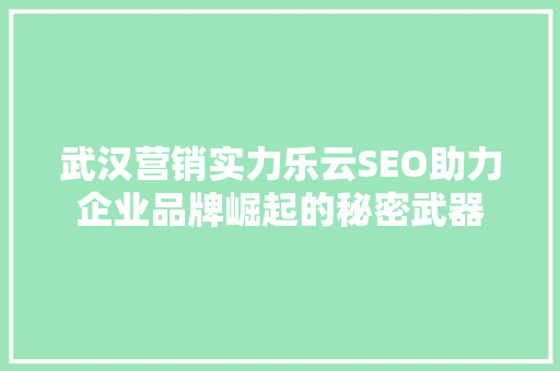 武汉营销实力乐云SEO助力企业品牌崛起的秘密武器
