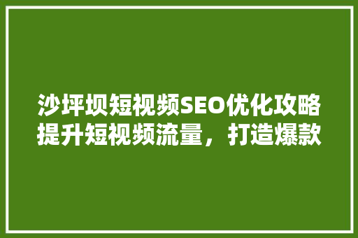 沙坪坝短视频SEO优化攻略提升短视频流量，打造爆款内容  第1张