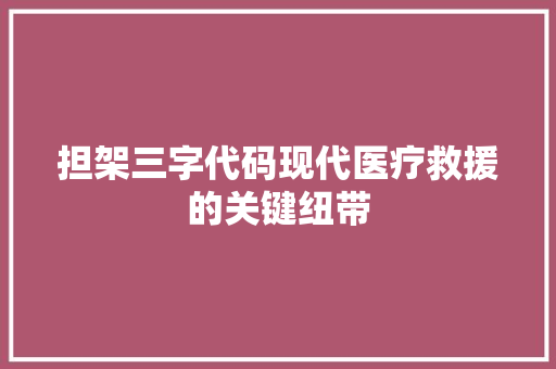 担架三字代码现代医疗救援的关键纽带