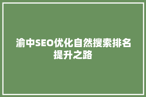 渝中SEO优化自然搜索排名提升之路