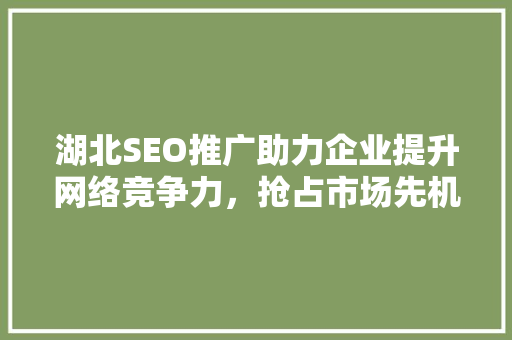 湖北SEO推广助力企业提升网络竞争力，抢占市场先机