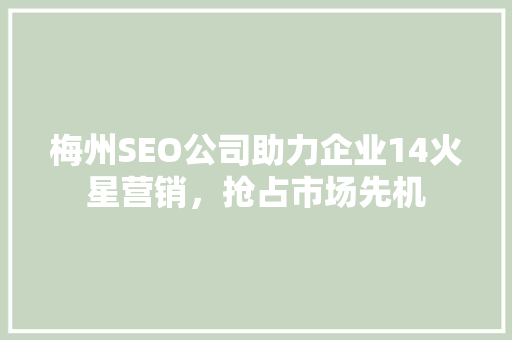 梅州SEO公司助力企业14火星营销，抢占市场先机
