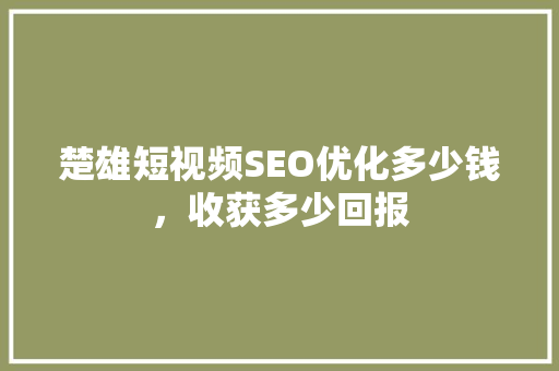 楚雄短视频SEO优化多少钱，收获多少回报