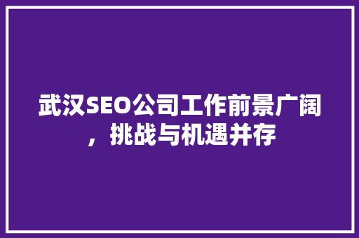 武汉SEO公司工作前景广阔，挑战与机遇并存