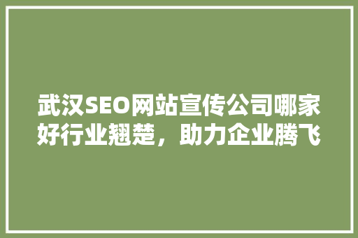 武汉SEO网站宣传公司哪家好行业翘楚，助力企业腾飞