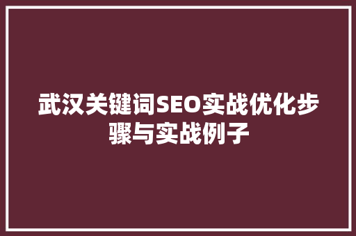 武汉关键词SEO实战优化步骤与实战例子