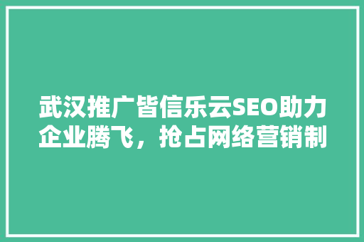 武汉推广皆信乐云SEO助力企业腾飞，抢占网络营销制高点
