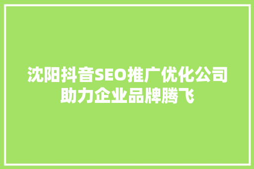 沈阳抖音SEO推广优化公司助力企业品牌腾飞