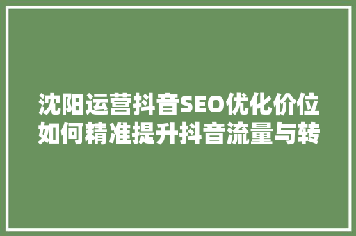 沈阳运营抖音SEO优化价位如何精准提升抖音流量与转化
