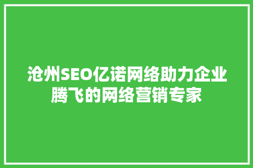 沧州SEO亿诺网络助力企业腾飞的网络营销专家