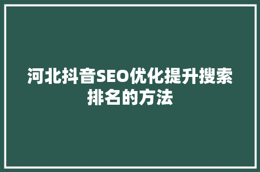 河北抖音SEO优化提升搜索排名的方法